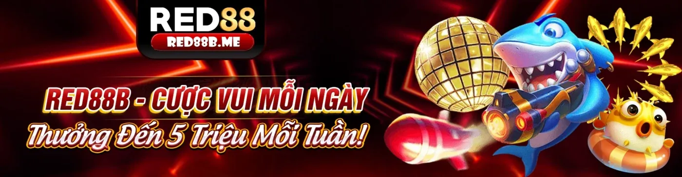 Đá Gà Trực Tuyến Sôi Động tại kb bet